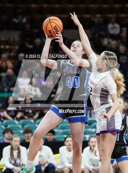 Thumbnail 1 in Peak to Peak vs Holy Family (CHSAA 4A Great 8) photogallery.