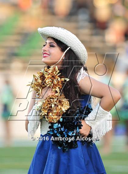 Thumbnail 3 in Mayde Creek @ Nimitz photogallery.