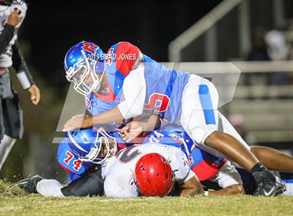 Thumbnail 2 in Overton @ McGavock photogallery.