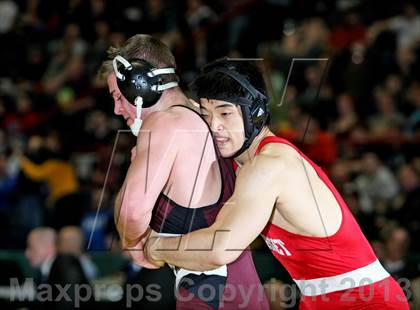 Thumbnail 2 in NYSPHSAA D1 Boys Wrestling Championships (Finals)  photogallery.
