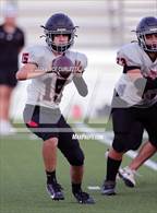 Photo from the gallery "Bowie @ Dripping Springs"