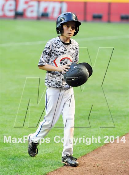 Thumbnail 1 in Coconino @ Boulder Creek photogallery.