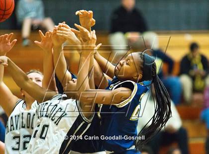 Thumbnail 3 in Conley @ Havelock photogallery.