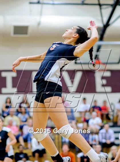 Thumbnail 3 in Roseville @ Whitney photogallery.