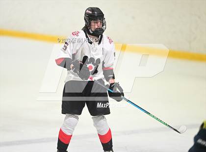 Thumbnail 2 in Shepaug CoOp @ Milford Mariners photogallery.