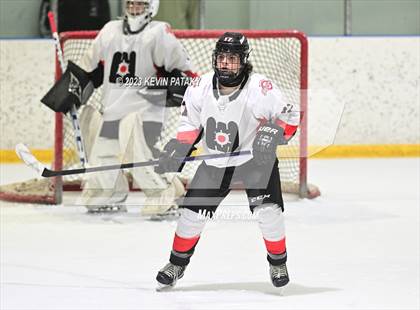Thumbnail 2 in Shepaug CoOp @ Milford Mariners photogallery.