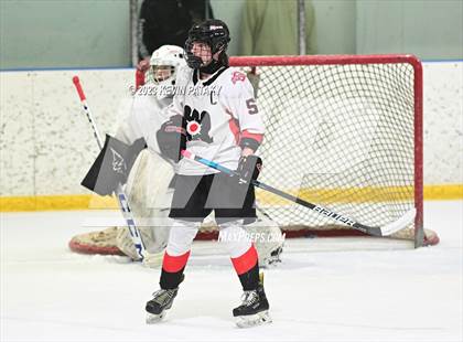 Thumbnail 3 in Shepaug CoOp @ Milford Mariners photogallery.