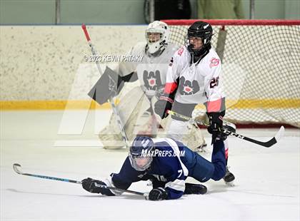 Thumbnail 3 in Shepaug CoOp @ Milford Mariners photogallery.