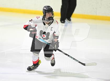 Thumbnail 1 in Shepaug CoOp @ Milford Mariners photogallery.