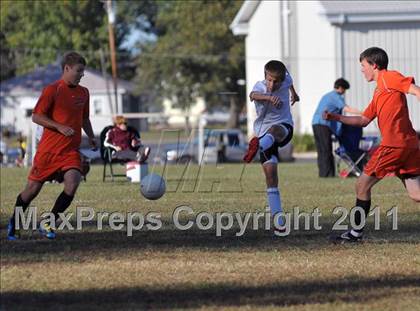 Thumbnail 1 in Mt. Vernon @ Anna-Jonesboro photogallery.