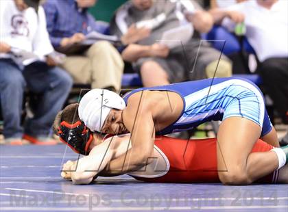 Thumbnail 1 in NCHSAA Individual Wrestling 1A Quarterfinals photogallery.