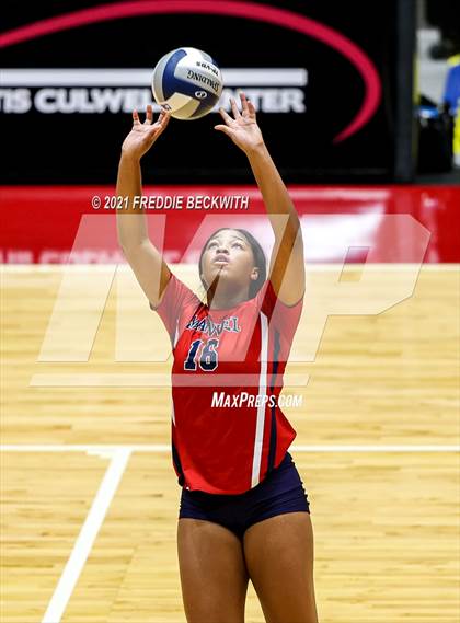 Thumbnail 1 in Lovejoy vs. Manvel (UIL Volleyball 5A Semi-Finals)  photogallery.