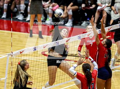 Thumbnail 3 in Lovejoy vs. Manvel (UIL Volleyball 5A Semi-Finals)  photogallery.