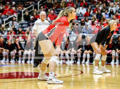 Thumbnail 3 in Lovejoy vs. Manvel (UIL Volleyball 5A Semi-Finals)  photogallery.