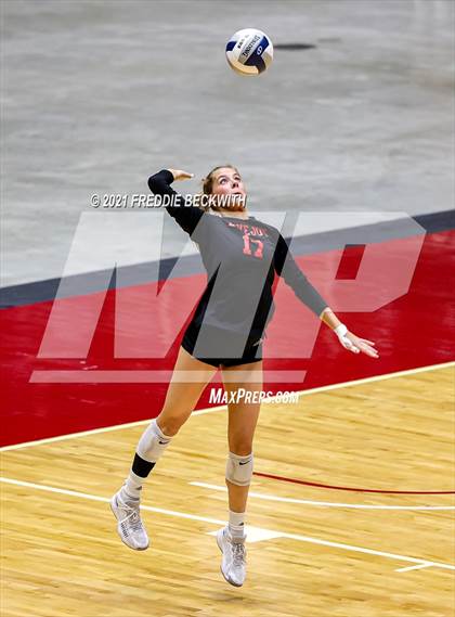 Thumbnail 3 in Lovejoy vs. Manvel (UIL Volleyball 5A Semi-Finals)  photogallery.