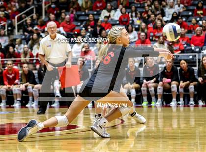 Thumbnail 2 in Lovejoy vs. Manvel (UIL Volleyball 5A Semi-Finals)  photogallery.