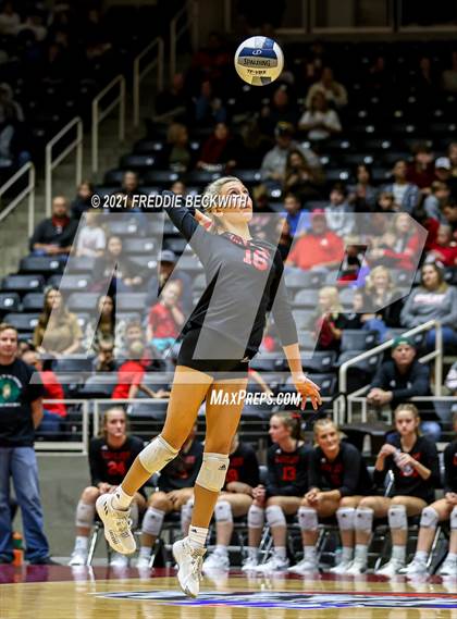 Thumbnail 1 in Lovejoy vs. Manvel (UIL Volleyball 5A Semi-Finals)  photogallery.
