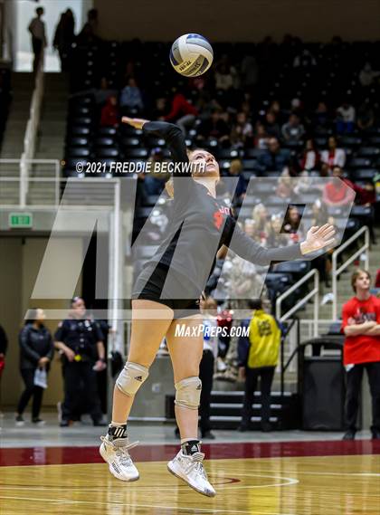 Thumbnail 1 in Lovejoy vs. Manvel (UIL Volleyball 5A Semi-Finals)  photogallery.