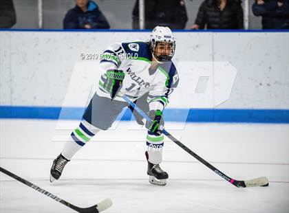 Thumbnail 1 in Williston Northampton vs Noble & Greenough (Harrington Tournament) photogallery.