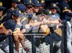 Photo from the gallery "Cypress @ Notre Dame (SO)"