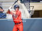 Photo from the gallery "Cypress @ Notre Dame (SO)"