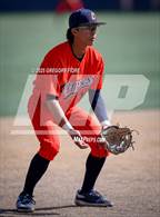 Photo from the gallery "Cypress @ Notre Dame (SO)"