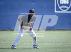 Photo from the gallery "Cypress @ Notre Dame (SO)"