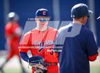 Photo from the gallery "Cypress @ Notre Dame (SO)"