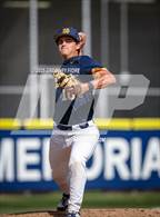 Photo from the gallery "Cypress @ Notre Dame (SO)"