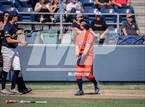 Photo from the gallery "Cypress @ Notre Dame (SO)"