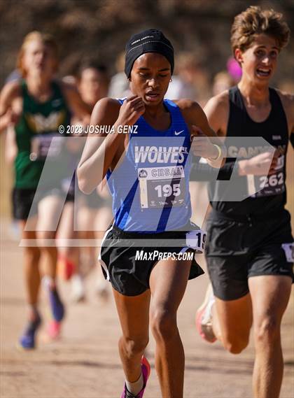 Thumbnail 3 in CHSAA 5A Cross Country Final photogallery.