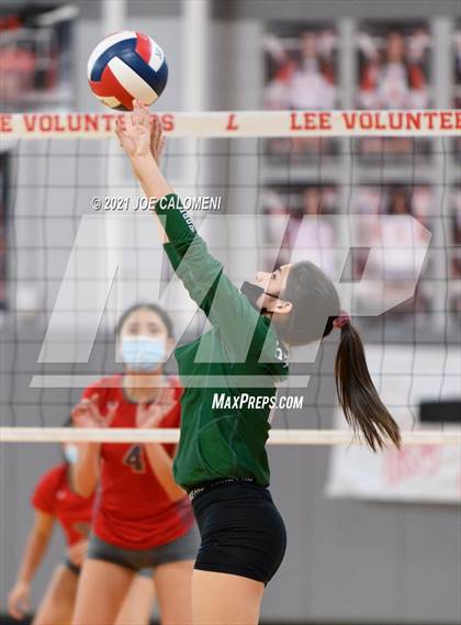 Thumbnail 2 in Incarnate Word @ Lee photogallery.
