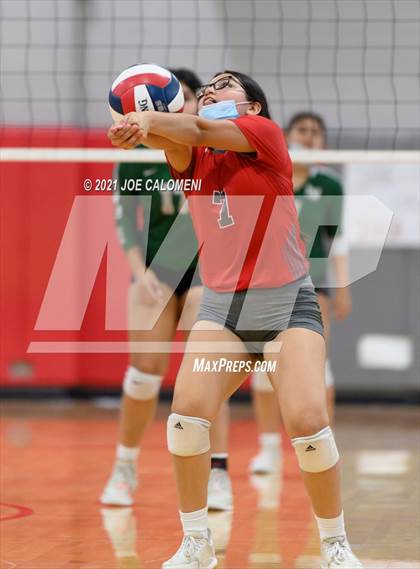 Thumbnail 1 in Incarnate Word @ Lee photogallery.