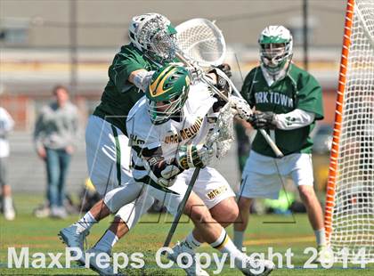 Thumbnail 3 in Yorktown @ Ward Melville photogallery.