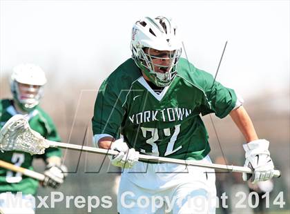 Thumbnail 3 in Yorktown @ Ward Melville photogallery.