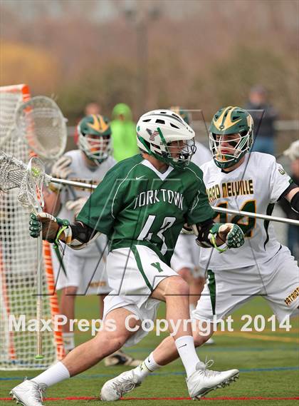 Thumbnail 3 in Yorktown @ Ward Melville photogallery.