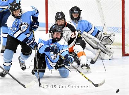 Thumbnail 3 in Suffern @ Mamaroneck photogallery.