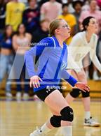 Photo from the gallery "Golden @ Wheat Ridge"