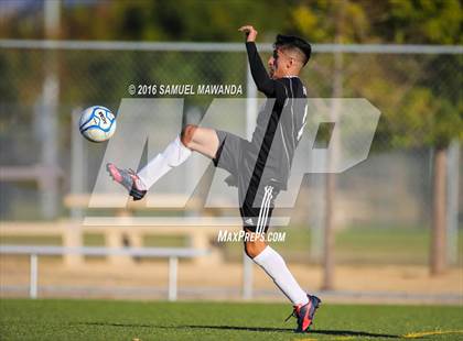 Thumbnail 1 in Milken vs Firebaugh  photogallery.