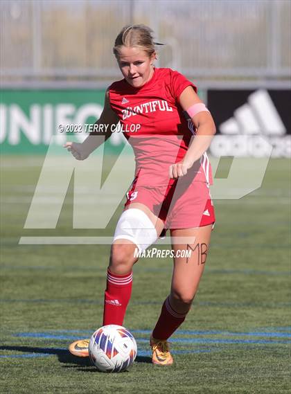 Thumbnail 2 in Bountiful vs. Skyline (UHSAA 5A Final) photogallery.