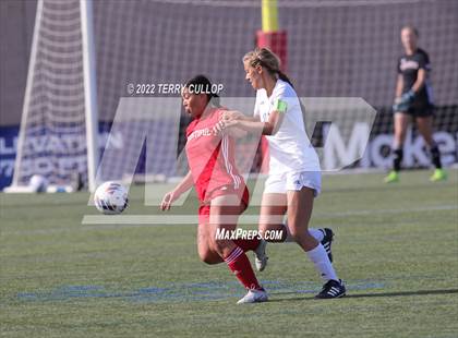 Thumbnail 2 in Bountiful vs. Skyline (UHSAA 5A Final) photogallery.