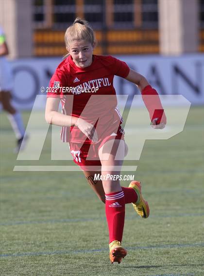 Thumbnail 2 in Bountiful vs. Skyline (UHSAA 5A Final) photogallery.