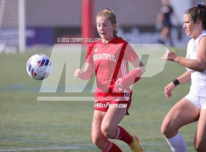 Thumbnail 1 in Bountiful vs. Skyline (UHSAA 5A Final) photogallery.