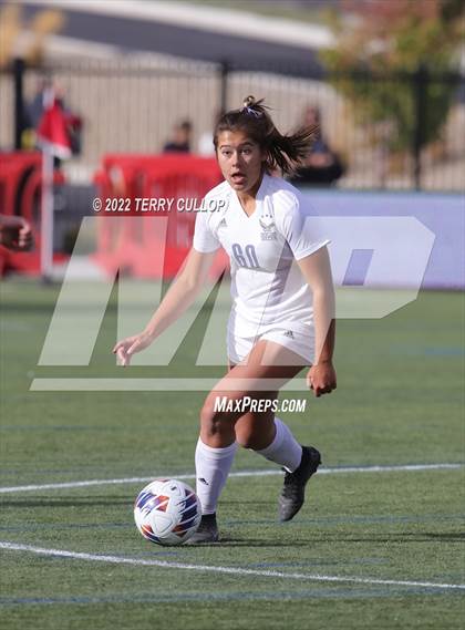 Thumbnail 3 in Bountiful vs. Skyline (UHSAA 5A Final) photogallery.