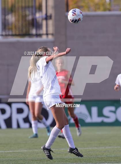Thumbnail 1 in Bountiful vs. Skyline (UHSAA 5A Final) photogallery.