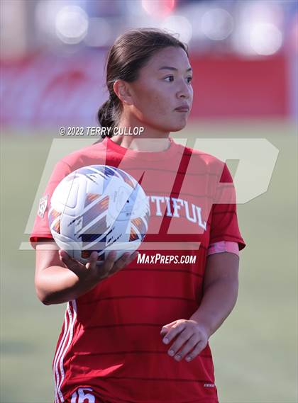 Thumbnail 1 in Bountiful vs. Skyline (UHSAA 5A Final) photogallery.