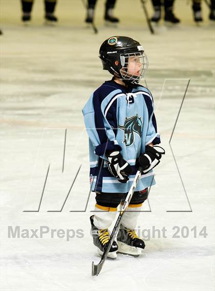 Thumbnail 3 in Monarch @ Ralston Valley photogallery.