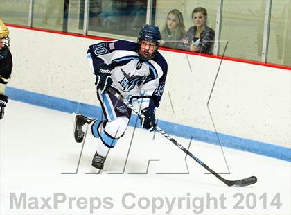 Thumbnail 1 in Monarch @ Ralston Valley photogallery.