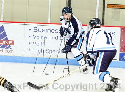 Thumbnail 3 in Monarch @ Ralston Valley photogallery.