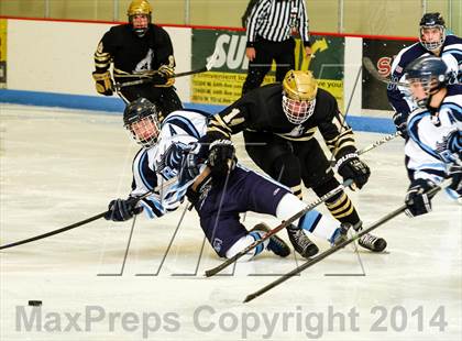 Thumbnail 2 in Monarch @ Ralston Valley photogallery.